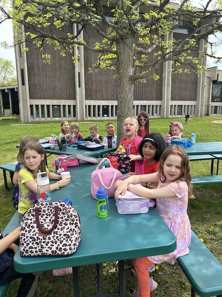 picnic