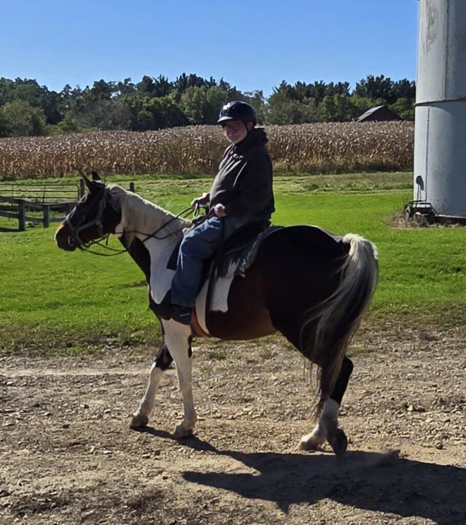 horse10
