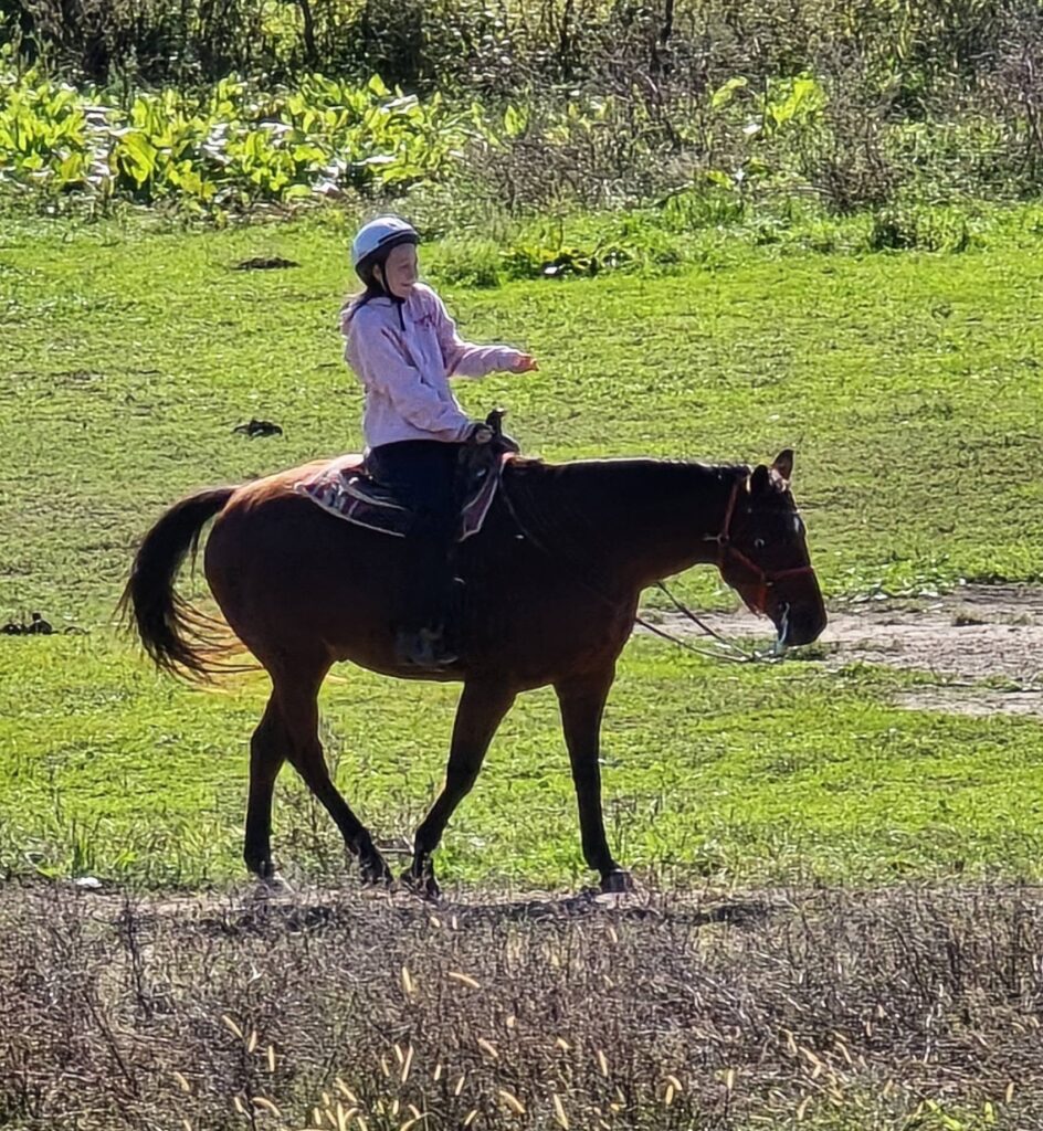 horse19