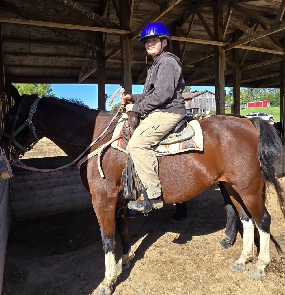 horse3