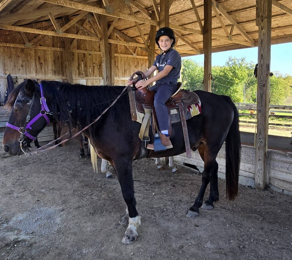 horse4