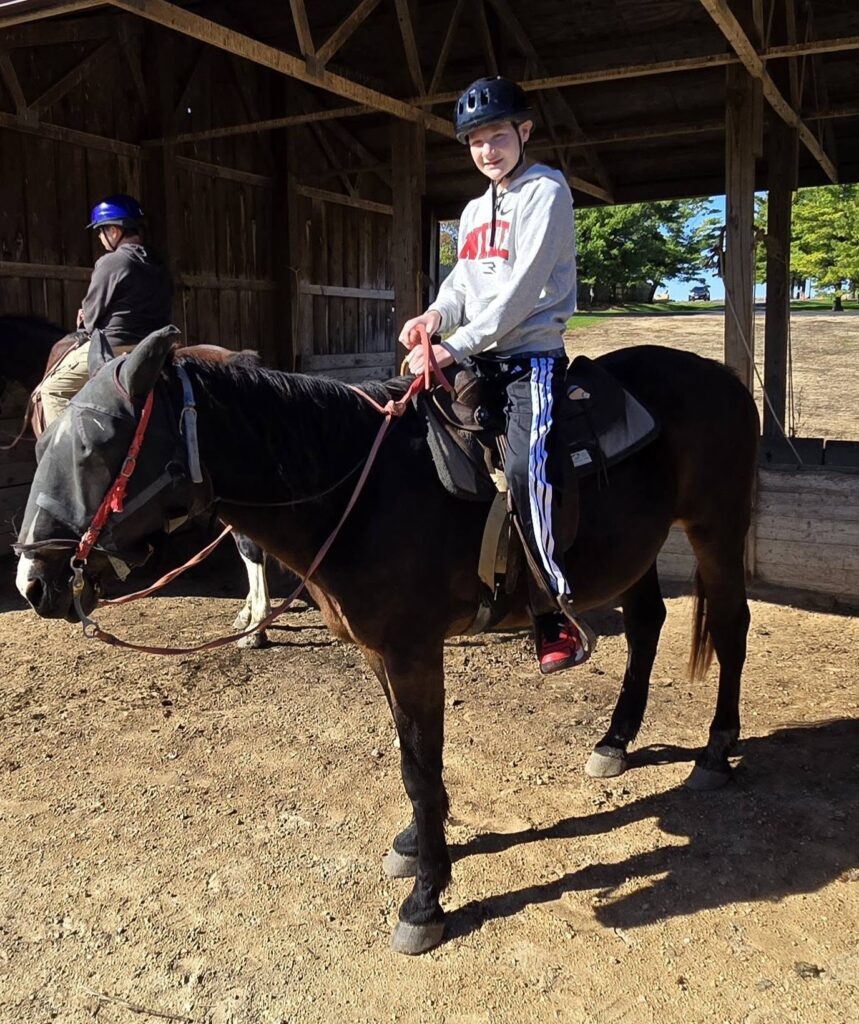 horse6