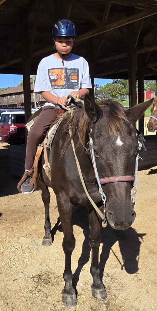 horse8