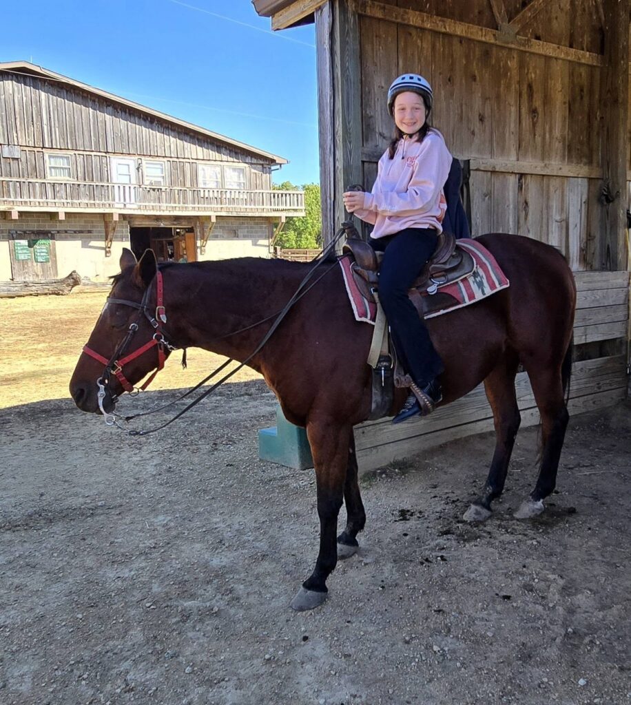 horse9